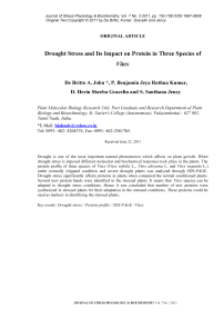 Drought stress and its impact on protein in three species of Vitex