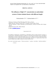 Изучение влияния высокой концентрации кадмия на функционирование антиоксидантных систем этиолированных проростков пшеницы разной длины