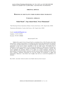 Response of crop plants under sulphur stress tolerance: a holistic approach