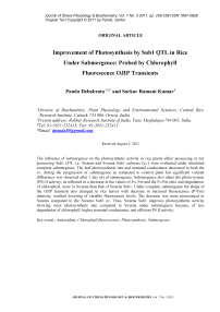 Improvement of photosynthesis by Sub1 QTL in rice under submergence: probed by chlorophyll fluorescence OJIP transients