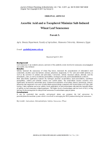 Ascorbic acid and α-tocopherol minimize salt-induced wheat leaf senescence