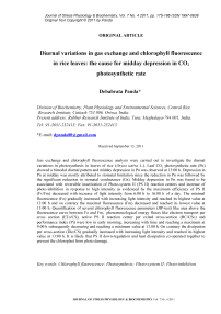 Diurnal variations in gas exchange and chlorophyll fluorescence in rice leaves: the cause for midday depression in CO2 photosynthetic rate