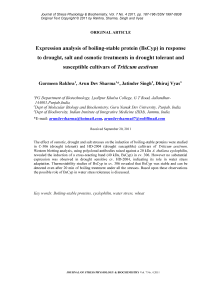 Expression analysis of boiling-stable protein (BsCyp) in response to drought, salt and osmotic treatments in drought tolerant and susceptible cultivars of Triticum aestivum