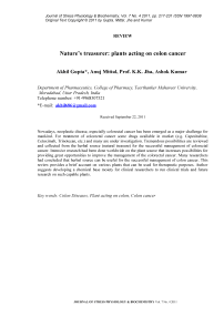 Nature's treasurer: plants acting on colon cancer