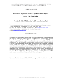 Alterations of protein and DNA profiles of Zea mays L. under UV- B radiation