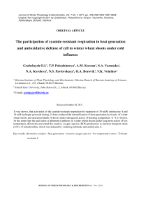 Участие цианидрезистентного дыхания в термогенерации и антиокислительной защите клетки в проростках озимой пшеницы при холодовом воздействии