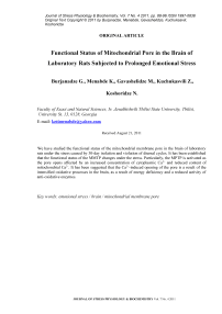 Функциональное состояние митохондриальной поры головного мозга белых крыс в условиях длительного эмоционального стресса