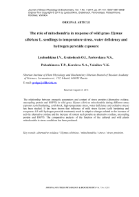 The role of mitochondria in response of wild grass Elymus sibiricus L. seedlings to temperature stress, water deficiency and hydrogen peroxide exposure