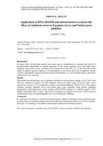 Application of DNA (RAPD) and ultrastructure to detect the effect of cadmium stress in Egyptian clover and Sudan grass plantlets