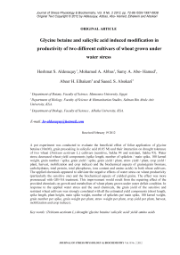 Glycine betaine and salicylic acid induced modification in productivity of two different cultivars of wheat grown under water stress