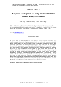 Body mass, thermogenesis and energy metabolism in Tupaia belangeri during cold acclimation