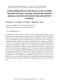 A wide distribution of a new Vrn-B1c allele of wheat Triticum aestivum L. in Russia, Ukraine and adjacent regions: a link with the heading time and adaptive potential