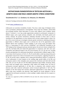 Anthocyanin pigmentation in Triticum aestivum L.: genetic basis and role under abiotic stress conditions