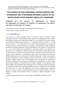 The changes of gene expression, protein content and alternative and cytochrome pathways capacity in the winter wheat mitochondria under cold hardening