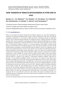 Gene transfer in tobacco mitochondria in vitro and in vivo