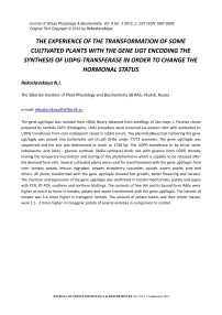 The experience of the transformation of some cultivated plants with the gene UGT encoding the synthesis of UDPG-transferase in order to change the hormonal status