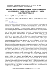 Agrobacterium-mediated genetic transformation of sorghum using tissue culture-based and pollen-mediated approaches