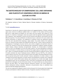 The biotechnology of embryogenic cell lines obtaining and plantlets of coniferous species in Siberia in culture in vitro