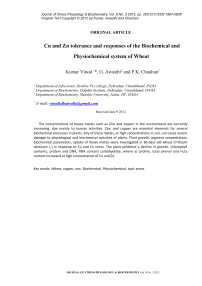 Cu and Zn tolerance and responses of the biochemical and physiochemical system of wheat