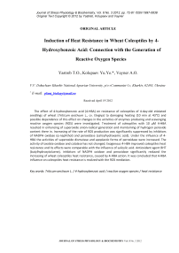 Induction of heat resistance in wheat coleoptiles by 4-hydroxybenzoic acid: connection with the generation of reactive oxygen species