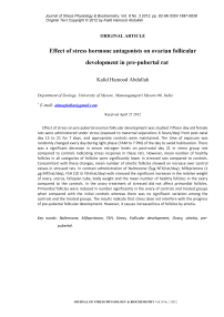 Effect of stress hormone antagonists on ovarian follicular development in pre-pubertal rat