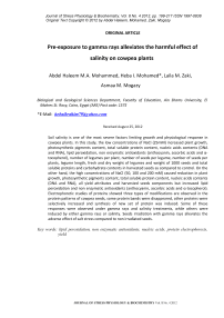 Pre-exposure to gamma rays alleviates the harmful effect of salinity on cowpea plants