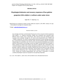 Physiological behaviors and recovery responses of four Galician grapevine (Vitis vinifera L.) cultivars under water stress