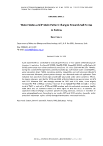 Water status and protein pattern changes towards salt stress in cotton