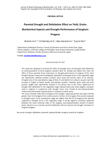 Parental drought and defoliation effect on yield, grains biochemical aspects and drought performance of sorghum progeny