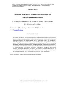 Alteration of SH-group contents in red beet roots and vacuoles under osmotic stress