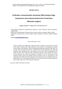 Purification, characterization and partial cDNA cloning of hightemperature stress-induced protein from French bean ( Phaseolus vulgaris)