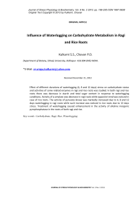 Influence of waterlogging on carbohydrate metabolism in ragi and rice roots