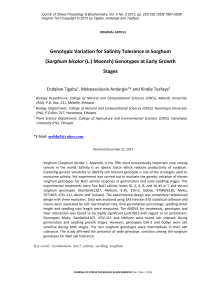 Genotypic variation for salinity tolerance in sorghum ( Sorghum bicolor (L.) Moench) genotypes at early growth stages