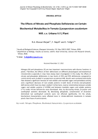 The effects of nitrate and phosphate deficiencies on certain biochemical metabolites in tomato (Lycopersicon esculentum Mill. c.v. Urbana V.F.) plant