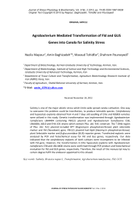 Agrobacterium mediated transformation of Fld and Gus genes into canola for salinity stress