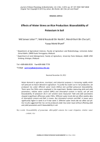 Effects of water stress on rice production: bioavailability of potassium in soil