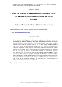 Wheat can acclimate to seawater by pretreatment with kinetin and spermine through osmotic adjustment and solutes allocation