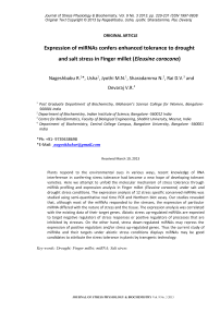 Expression of miRNAs confers enhanced tolerance to drought and salt stress in finger millet ( Eleusine coracona)