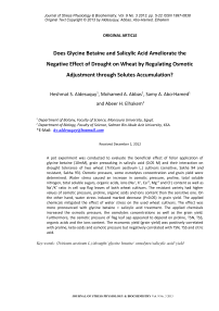 Does glycine betaine and salicylic acid ameliorate the negative effect of drought on wheat by regulating osmotic adjustment through solutes accumulation?