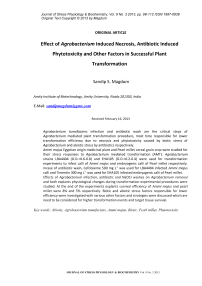 Effect of agrobacterium induced necrosis, antibiotic induced phytotoxicity and other factors in successful plant transformation