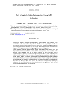 Role of leptin in metabolic adaptation during cold acclimation