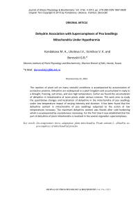 Ассоциация дегидринов проростков гороха с суперкомплексами дыхательной цепи митохондрий в период гипотермии