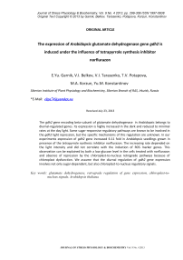 Экспрессия гена глутаматдегидрогеназы gdh2 арабидопсиса индуцируется под влиянием ингибитора синтеза тетрапирролов норфлуразона