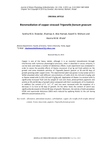 Bioremediation of copper stressed Trigonella foenum graecum