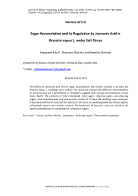 Sugar accumulation and its regulation by jasmonic acid in Brassica napus L. under salt stress