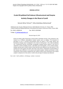 Crude oil-polluted soil induces ultrastructural and enzyme activity changes in the shoot of lentil