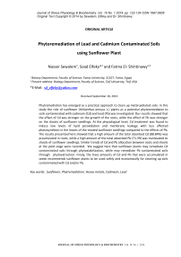 Phytoremediation of lead and cadmium contaminated soils using sunflower plant