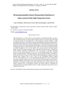 28-homobrassinolide protects photosynthetic machinery in Indian mustard under high temperature stress