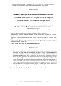 The effect of salicylic acid and gibberellin on seed reserve utilization, germination and enzyme activity of sorghum ( Sorghum bicolor L.) seeds under drought stress