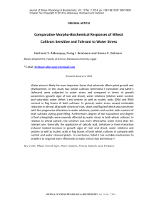 Comparative morpho-biochemical responses of wheat cultivars sensitive and tolerant to water stress